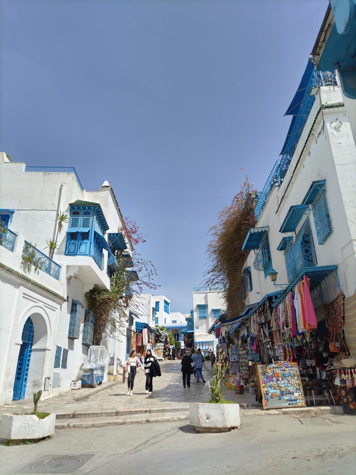 Marsa - Sidi Bousaid Lovely Authentic Apartment La Marsa Exteriér fotografie